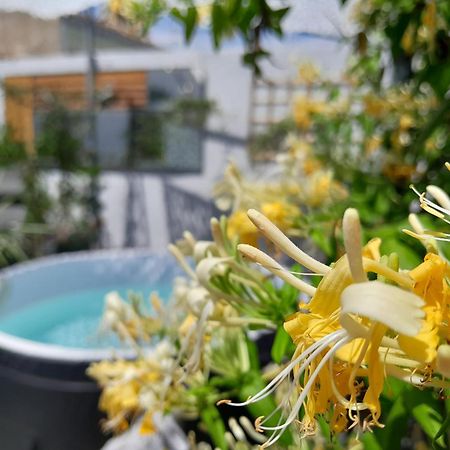 Le Petit Patio Bed & Breakfast Aigues-Mortes Ngoại thất bức ảnh