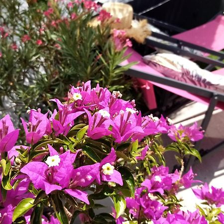 Le Petit Patio Bed & Breakfast Aigues-Mortes Ngoại thất bức ảnh