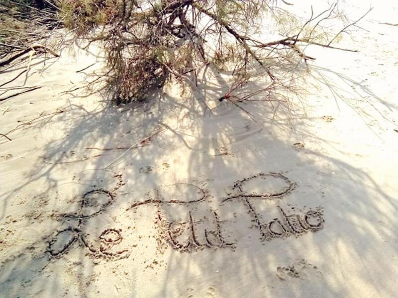 Le Petit Patio Bed & Breakfast Aigues-Mortes Ngoại thất bức ảnh