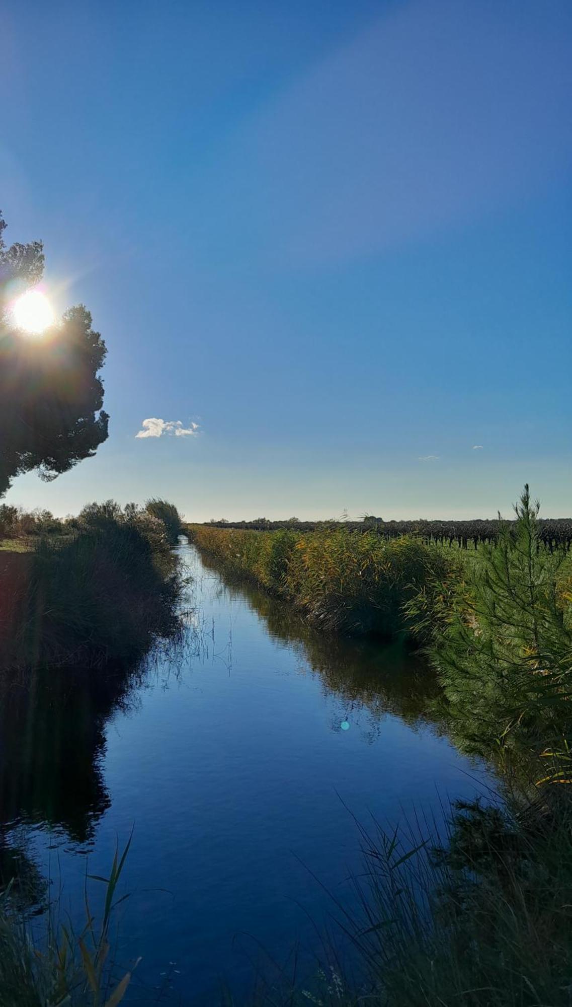 Le Petit Patio Bed & Breakfast Aigues-Mortes Ngoại thất bức ảnh