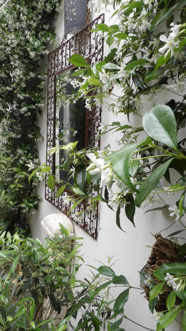 Le Petit Patio Bed & Breakfast Aigues-Mortes Ngoại thất bức ảnh