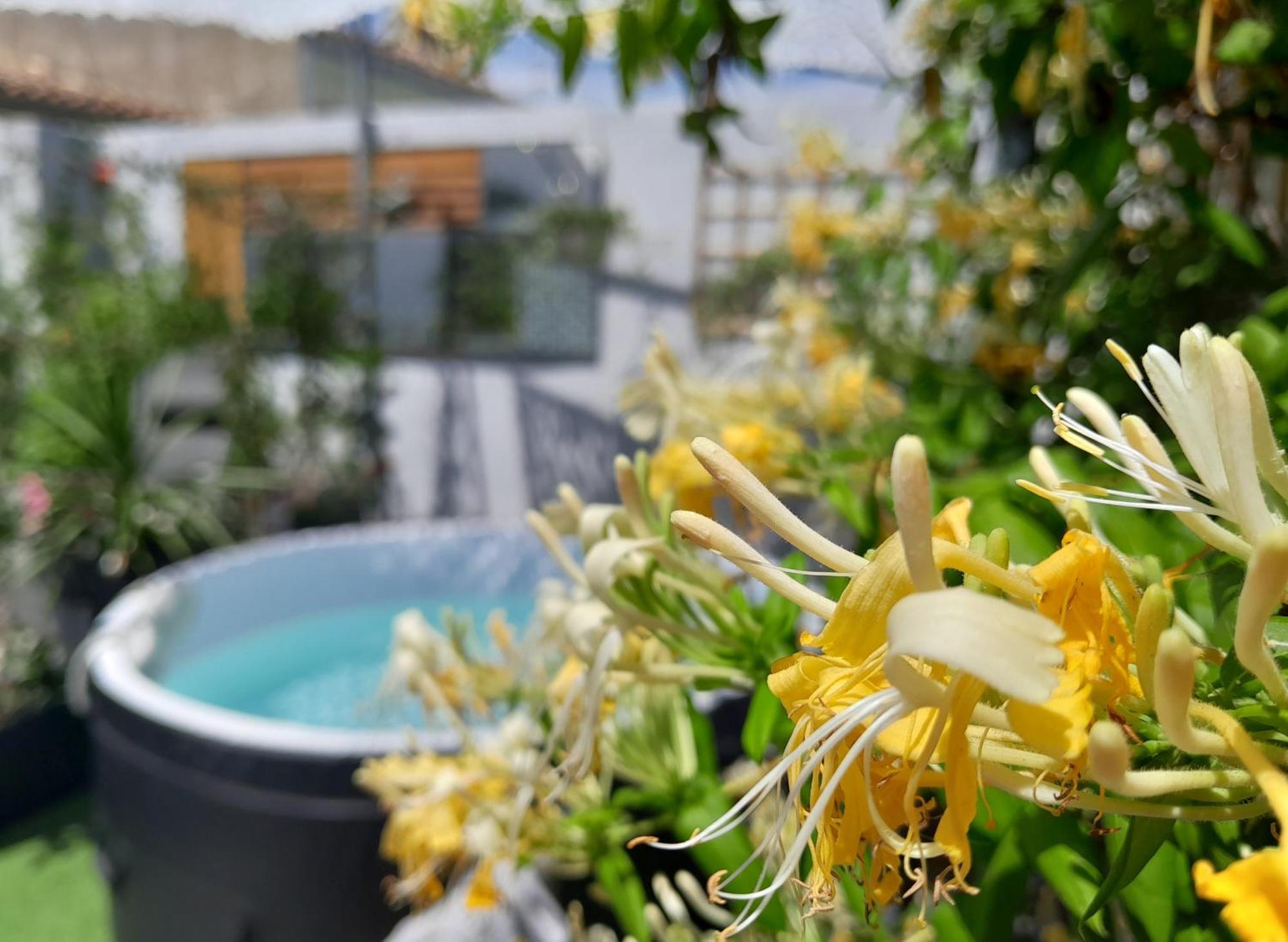 Le Petit Patio Bed & Breakfast Aigues-Mortes Ngoại thất bức ảnh