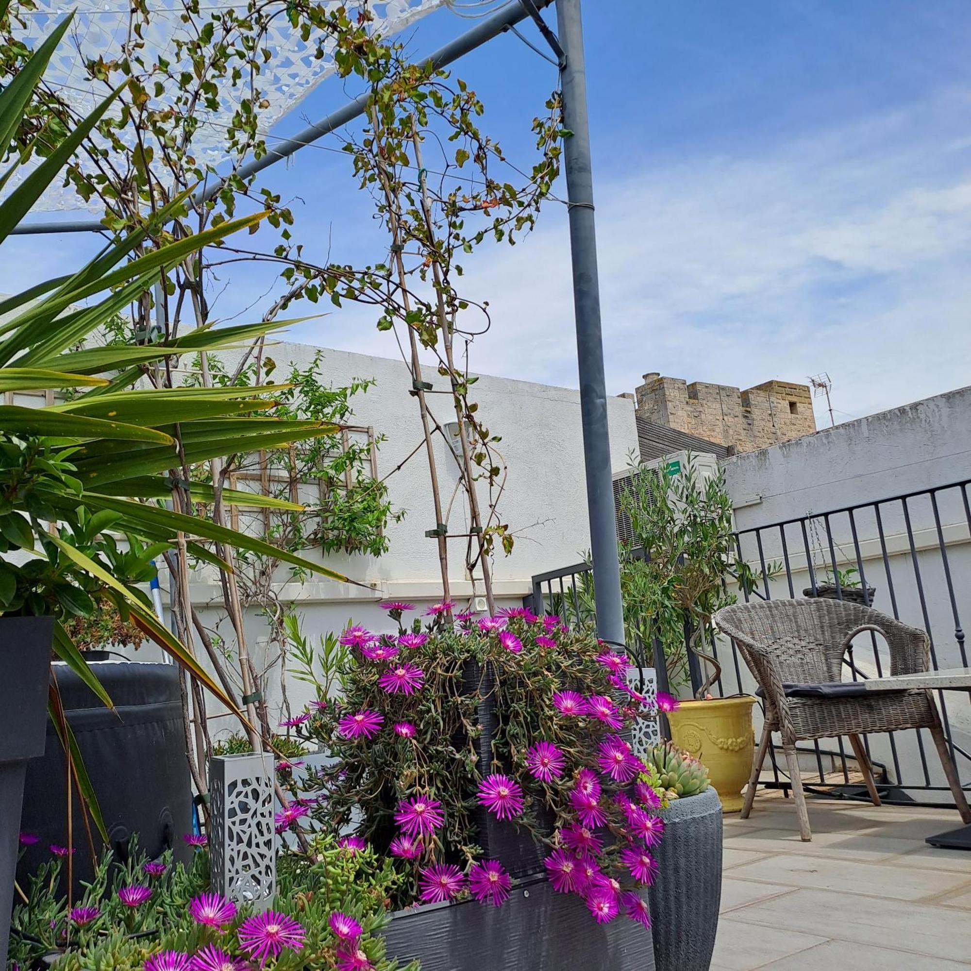 Le Petit Patio Bed & Breakfast Aigues-Mortes Ngoại thất bức ảnh