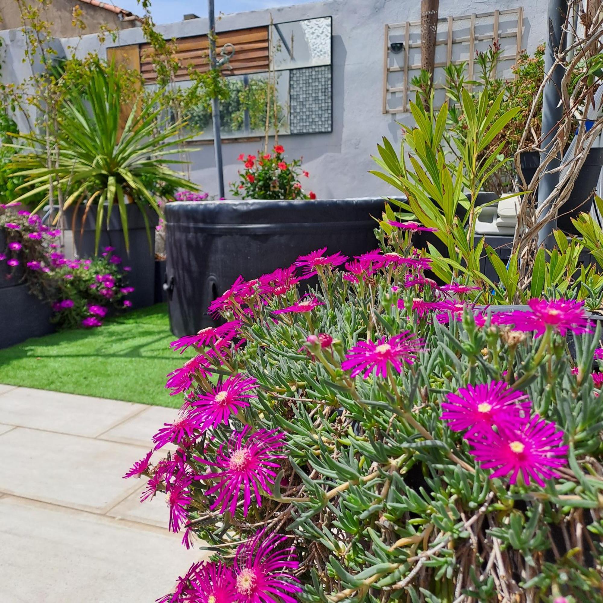 Le Petit Patio Bed & Breakfast Aigues-Mortes Ngoại thất bức ảnh